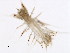  ( - BAMPOL0519)  @12 [ ] CreativeCommons - Attribution (2010) Unspecified Centre for Biodiversity Genomics