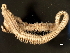  ( - BP2010-054)  @13 [ ] CreativeCommons - Attribution (2010) CBG Photography Group Centre for Biodiversity Genomics