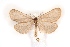 ( - BC-EH-R112)  @11 [ ] Copyright (2010) Unspecified Research Collection of Erwin Hauser