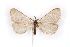  ( - BC-EH-R130)  @11 [ ] Copyright (2010) Unspecified Research Collection of Erwin Hauser