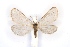  ( - BC-EH-R134)  @11 [ ] Copyright (2010) Unspecified Research Collection of Erwin Hauser
