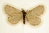  ( - BC-EH-R10)  @11 [ ] Copyright (2010) Unspecified Research Collection of Erwin Hauser