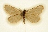  ( - BC-EH-R11)  @11 [ ] Copyright (2010) Unspecified Research Collection of Erwin Hauser