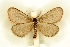  ( - BC-EH-R19)  @11 [ ] Copyright (2010) Unspecified Research Collection of Erwin Hauser