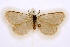  ( - BC-EH-R31)  @11 [ ] Copyright (2010) Unspecified Research Collection of Erwin Hauser