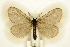  ( - BC-EH-R54)  @11 [ ] Copyright (2010) Unspecified Research Collection of Erwin Hauser