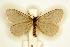 ( - BC-EH-R56)  @11 [ ] Copyright (2010) Unspecified Research Collection of Erwin Hauser