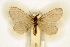  ( - BC-EH-R57)  @11 [ ] Copyright (2010) Unspecified Research Collection of Erwin Hauser