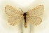  ( - BC-EH-R58)  @11 [ ] Copyright (2010) Unspecified Research Collection of Erwin Hauser
