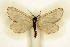  ( - BC-EH-R59)  @11 [ ] Copyright (2010) Unspecified Research Collection of Erwin Hauser