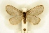  ( - BC-EH-R65)  @11 [ ] Copyright (2010) Unspecified Research Collection of Erwin Hauser