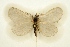  ( - BC-EH-R71)  @11 [ ] Copyright (2010) Unspecified Research Collection of Erwin Hauser