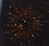  ( - BCS_0418)  @11 [ ] CreativeCommons - Attribution Non-Commercial Share-Alike (2017) Matthieu Leray Smithsonian Institution