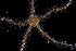  ( - BCS_0421)  @11 [ ] CreativeCommons - Attribution Non-Commercial Share-Alike (2017) Matthieu Leray Smithsonian Institution