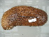  ( - EU848296)  @13 [ ] Unspecified (default): All Rights Reserved  Unspecified Unspecified