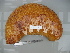  ( - EU848271)  @13 [ ] Unspecified (default): All Rights Reserved  Unspecified Unspecified