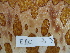  ( - EU848271)  @12 [ ] Unspecified (default): All Rights Reserved  Unspecified Unspecified