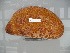  ( - EU848271)  @13 [ ] Unspecified (default): All Rights Reserved  Unspecified Unspecified