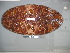  ( - EU848270)  @13 [ ] Unspecified (default): All Rights Reserved  Unspecified Unspecified
