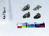  ( - RVcoll17B200)  @11 [ ] Copyright (2019) Roger Vila Institut de Biologia Evolutiva