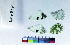  ( - RVcoll17B909)  @11 [ ] Copyright (2019) Roger Vila Institut de Biologia Evolutiva