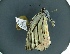  (Delias descombesi - BC ZSM Lep 97781)  @11 [ ] Unspecified (default): All Rights Reserved  Unspecified Unspecified