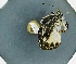  ( - BC ZSM Lep 97796)  @11 [ ] Unspecified (default): All Rights Reserved  Unspecified Unspecified