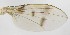  ( - DIP121819)  @12 [ ] Copyright (2012) Hong-Wei Chen South China Agricultural University, Department of Entomology