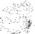  ( - DIP123072)  @12 [ ] Copyright (2013) Hong-Wei Chen South China Agricultural University, Department of Entomology