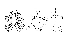  ( - DIP126828)  @11 [ ] Copyright (2014) Hong-Wei Chen South China Agricultural University, Department of Entomology