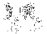  ( - DIP128196)  @11 [ ] Copyright (2015) Hong-Wei Chen South China Agricultural University, Department of Entomology