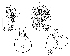  ( - DIP128201)  @11 [ ] Copyright (2015) Hong-Wei Chen South China Agricultural University, Department of Entomology