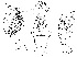  ( - DIP124176)  @11 [ ] Copyright (2018) Hong-Wei Chen South China Agricultural University, Department of Entomology