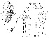 ( - DIP121479)  @11 [ ] Copyright (2018) Hong-Wei Chen South China Agricultural University, Department of Entomology