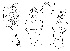  ( - DIP124834)  @11 [ ] Copyright (2018) Hong-Wei Chen South China Agricultural University, Department of Entomology