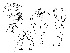  ( - DIP124819)  @11 [ ] Copyright (2018) Hong-Wei Chen South China Agricultural University, Department of Entomology