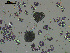  ( - EQU4401_Hcub)  @11 [ ] by-nc-sa (2020) INVEMAR INVEMAR-BEM