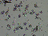  ( - EQU4401_Hcub)  @11 [ ] by-nc-sa (2020) INVEMAR INVEMAR-BEM