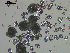  ( - EQU4401_Hcub)  @11 [ ] by-nc-sa (2020) INVEMAR INVEMAR-BEM
