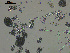  ( - EQU4138_Hcub)  @11 [ ] by-nc-sa (2020) INVEMAR INVEMAR-BEM