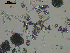  ( - EQU4138_Hcub)  @11 [ ] by-nc-sa (2020) INVEMAR INVEMAR-BEM