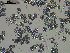  ( - EQU4138_Hcub)  @11 [ ] by-nc-sa (2020) INVEMAR INVEMAR-BEM