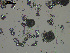  ( - EQU4138_Hcub)  @11 [ ] by-nc-sa (2020) INVEMAR INVEMAR-BEM