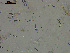  ( - EQU4408(1)_Hgla)  @11 [ ] by-nc-sa (2020) INVEMAR INVEMAR-BEM