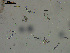  ( - EQU4408(1)_Hgla)  @11 [ ] by-nc-sa (2020) INVEMAR INVEMAR-BEM