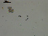  ( - EQU4408(2)_Hgla)  @11 [ ] by-nc-sa (2020) INVEMAR INVEMAR-BEM