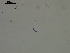  ( - EQU4408(2)_Hgla)  @11 [ ] by-nc-sa (2020) INVEMAR INVEMAR-BEM