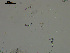  ( - EQU4408(2)_Hgla)  @11 [ ] by-nc-sa (2020) INVEMAR INVEMAR-BEM