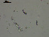  ( - EQU4408(2)_Hgla)  @11 [ ] by-nc-sa (2020) INVEMAR INVEMAR-BEM