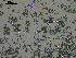  ( - EQU4402(2)_Hgri)  @11 [ ] by-nc-sa (2020) INVEMAR INVEMAR-BEM
